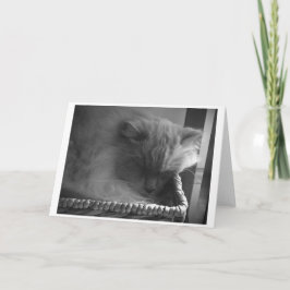 Langsame Tage, Karte