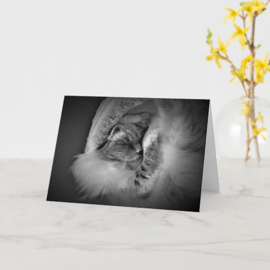 Langsame Tage, Karte (Gelbe Blume)