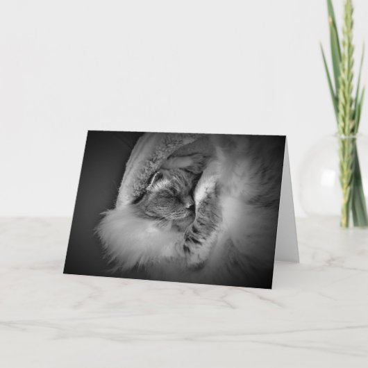 Langsame Tage, Karte (Vorderseite)