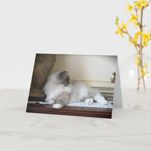 Langsame Tage, Karte (Gelbe Blume)