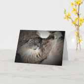 Langsame Tage, Karte (Gelbe Blume)