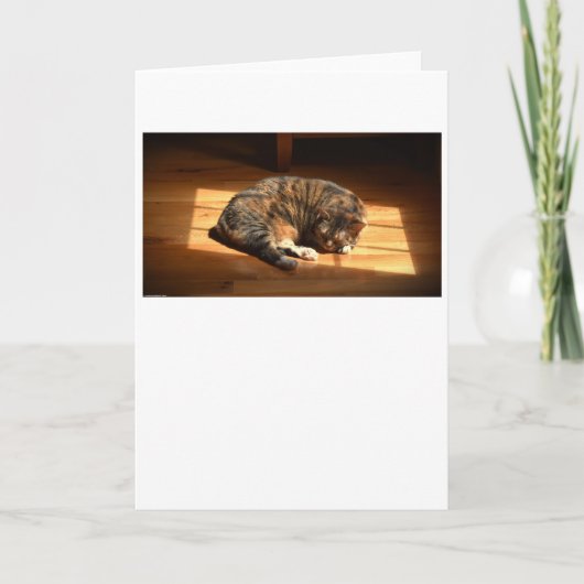 Langsame Tage, Karte (Vorderseite)