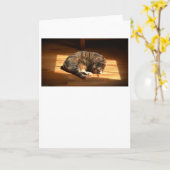 Langsame Tage, Karte (Gelbe Blume)