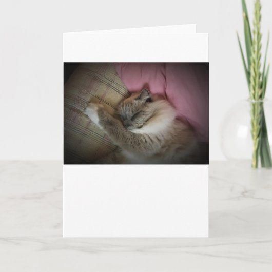 Langsame Tage, Karte (Vorderseite)