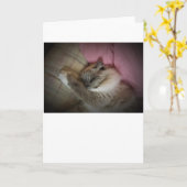 Langsame Tage, Karte (Gelbe Blume)