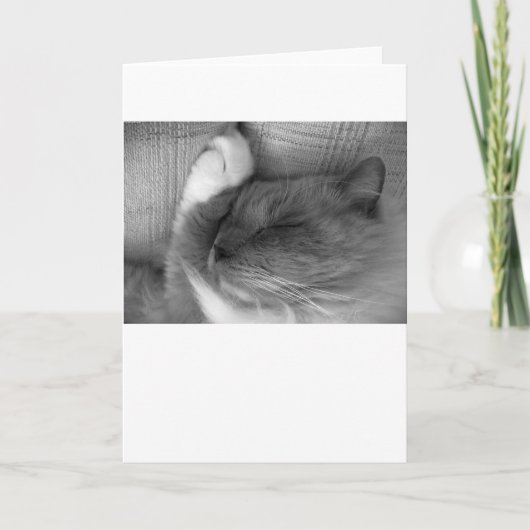 Langsame Tage, Karte (Vorderseite)