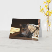 Langsame Tage, Karte (Gelbe Blume)