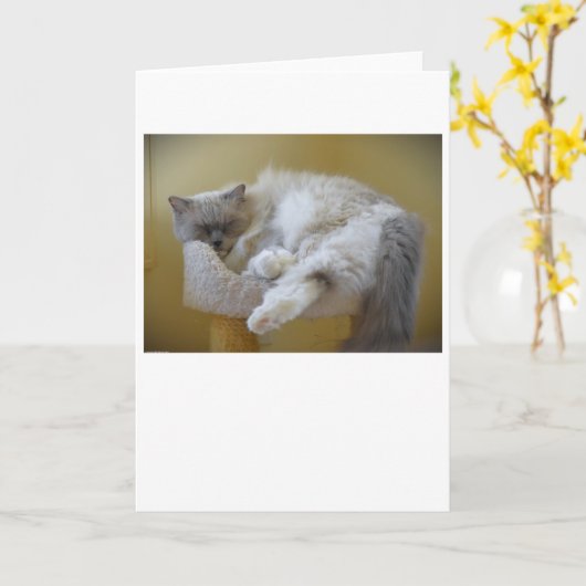 Langsame Tage, Karte (Gelbe Blume)