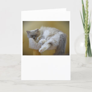 Langsame Tage, Karte