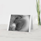 Langsame Tage, Karte (Vorderseite)