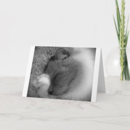 Langsame Tage, Karte