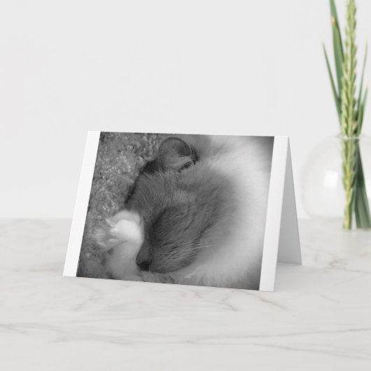 Langsame Tage, Karte (Vorderseite)