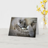 Langsame Tage, Karte (Gelbe Blume)