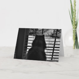 Langsame Tage, Karte