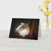 Langsame Tage, Karte (Gelbe Blume)