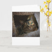 Langsame Tage, Karte (Gelbe Blume)