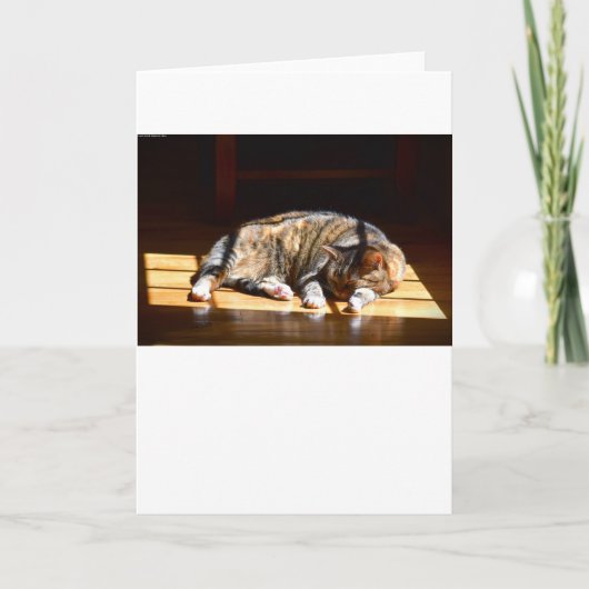 Langsame Tage, Karte (Vorderseite)