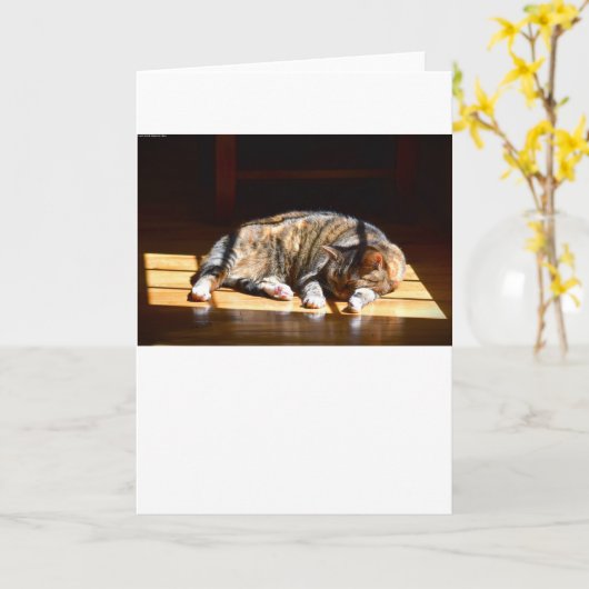 Langsame Tage, Karte (Gelbe Blume)