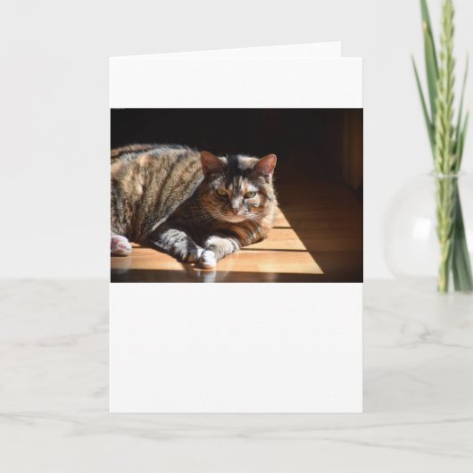 Langsame Tage, Karte (Vorderseite)