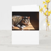 Langsame Tage, Karte (Gelbe Blume)