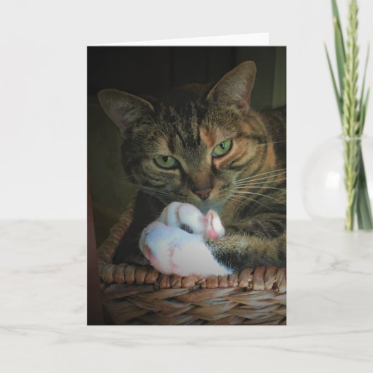 Langsame Tage, Karte (Vorderseite)