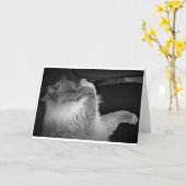 Langsame Tage, Karte (Gelbe Blume)