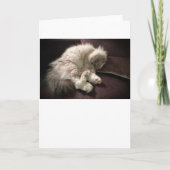 Langsame Tage, Karte (Vorderseite)