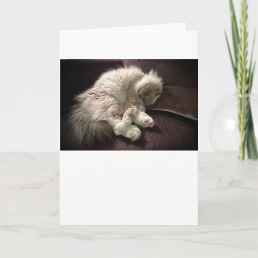 Langsame Tage, Karte (Vorderseite)