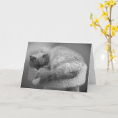 Langsame Tage, Karte (Gelbe Blume)