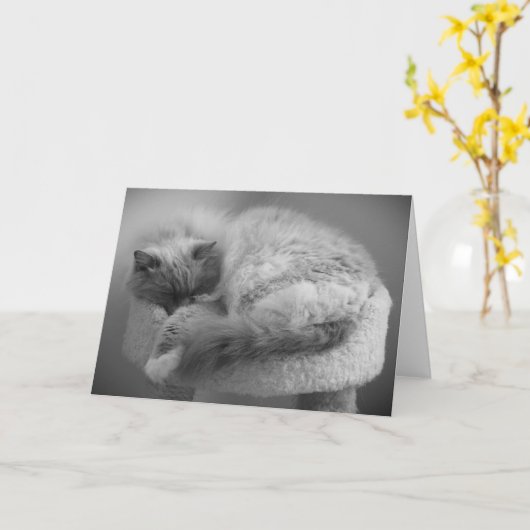 Langsame Tage, Karte (Gelbe Blume)