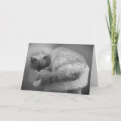 Langsame Tage, Karte (Vorderseite)