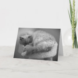 Langsame Tage, Karte