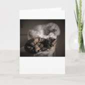 Langsame Tage, Karte (Vorderseite)