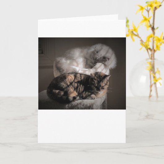 Langsame Tage, Karte (Gelbe Blume)