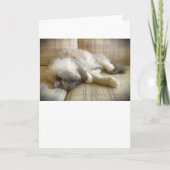 Langsame Tage, Karte (Vorderseite)