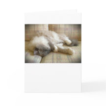 Langsame Tage, Karte