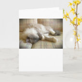 Langsame Tage, Karte (Gelbe Blume)