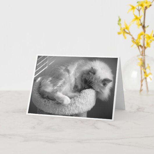 Langsame Tage, Karte (Gelbe Blume)