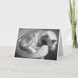 Langsame Tage, Karte