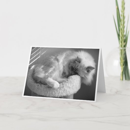 Langsame Tage, Karte (Vorderseite)