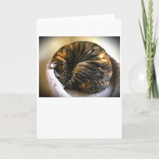 Langsame Tage, Karte (Vorderseite)