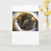 Langsame Tage, Karte (Gelbe Blume)