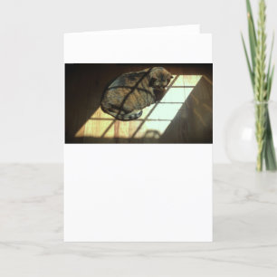 Langsame Tage, Karte