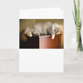 Langsame Tage, Karte