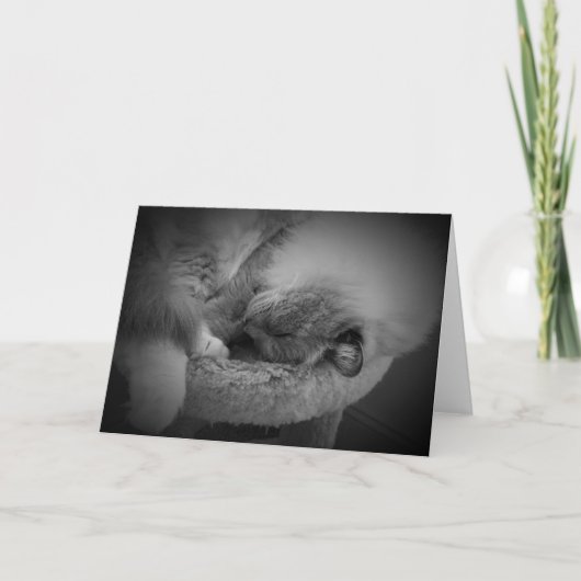 Langsame Tage, Karte (Vorderseite)