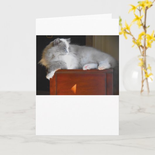 Langsame Tage, Karte (Gelbe Blume)