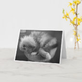 Langsame Tage, Karte (Gelbe Blume)