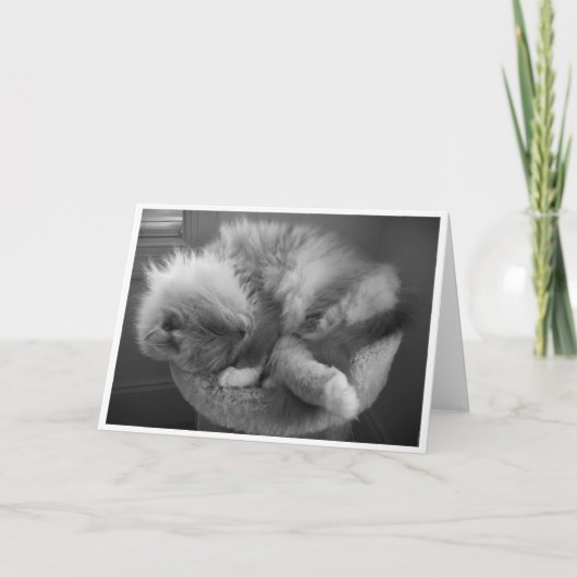 Langsame Tage, Karte (Vorderseite)