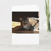 Langsame Tage, Karte (Vorderseite)