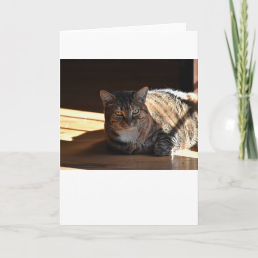 Langsame Tage, Karte (Vorderseite)